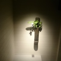 ラ ペ - 