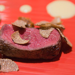 SALONE 2007 - 夏鹿のアップ