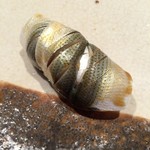 すし匠 まさ - H28.8 新子