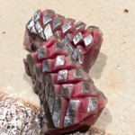 すし匠 まさ - H28.8 秋刀魚