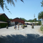 Iron Horse Vineyards - 