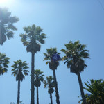 Iron Horse Vineyards - 