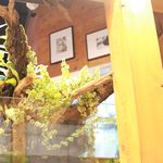 人類みな麺類 - 20160829店内オブジェ１