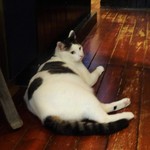 55360131 - おっとこいつが役者なんですよ中々の