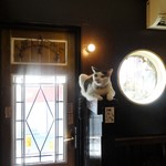 55360371 - こんなとこに乗っかっちゃうしねえ