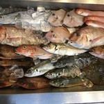 お魚料理　各480円∼
