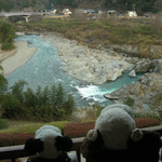 実は宿の手前で川が曲がってるの～ちなみに吉野川は奈良～和歌山間を流れる紀の川のこと。
          奈良県内では吉野の地名にあわせて吉野川と呼ばれてます。窓を開けて外を眺めてたら体が冷えたねぇ。温泉に入りに行こう！