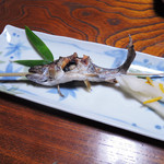 宮滝温泉元湯 まつや - 天然川魚の焼物。こちらも、あまごの塩焼きだよ。
      川魚の塩焼きって、あまり食べる機会ないので、
      これも嬉しいです。