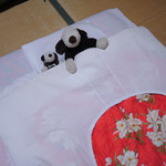 宮滝温泉元湯 まつや - お部屋に戻ると、お布団が敷かれてたので、
      ちょっと横になるつもりが・・・Zzz、Zzz、Zzz
      あっという間に寝てしまったボキらなのでした。