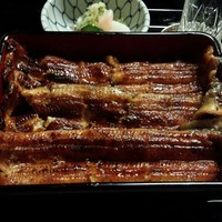 うなぎ割烹 大江戸 - 鰻重のええやつ　アップ(16-08)