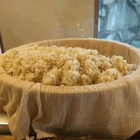 浅草むぎとろ 本店 - 