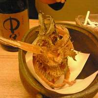 銀平 北新地店 - 1535.JPG