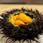 緒方 - 福井県小浜の赤雲丹　雲丹の下には琵琶湖のすっぽんの煮凝り