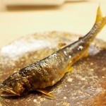 緒方 - 福井県産　鮎