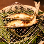 嵯峨沢館 - 2016年8月