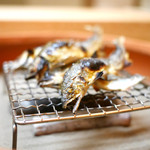 松川 - 天然鮎　食べ比べ
      上桂川と安曇川