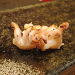 銀座 あらた - 新いか　炙り