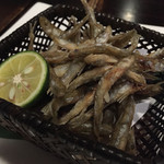 レストラン バイプレーン - 