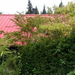 山里乃蕎麦 丸富 - 外観