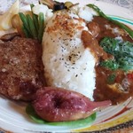 シュワルツ カッツ - エジプト風カリーのセット＋ハンバーグ追加