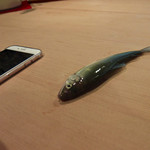 青華こばやし - 飛んできました(笑)