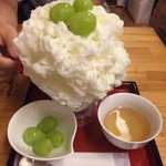 ひみつ堂 - 2016.8まんまシャイン