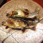 赤坂 菊乃井 - 2010.10