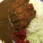 越後川口サービスエリア（下り線）レストラン - メンチカツカレー 830円
            ご飯増量 50円