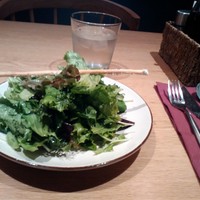 オービカ モッツァレラバー 横浜店 - ラザニアとサラダのサイズ感がわかるかな