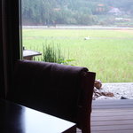 アミタ - テーブルからの眺めで、お外の田んぼにコウノトリが飛来♪