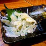 居酒屋 兀突骨 - クラゲ刺し　コリコリしてます