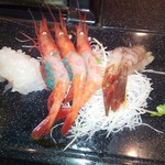 鮨楽こもり - 海老オールスター！