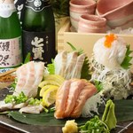 Morning fresh fish and shellfish sashimi platter for 1 person