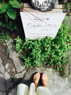 Sajilo Cafe Forest - 