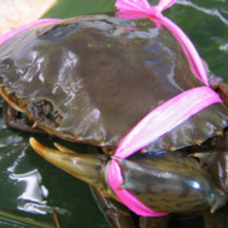 幻の どうまん蟹コース 魚料理専門 魚魚一 トトイチ 第一通り 魚介料理 海鮮料理 食べログ