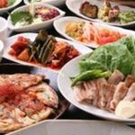 本格韓国料理 ハングルタイガー - 