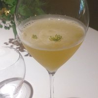 レフェルヴェソンス - 