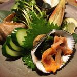 牡蠣・貝料理居酒屋 貝しぐれ - 本日のお刺身盛り合わせ　三種盛り（赤貝、粒貝、栄螺）　1,580円