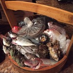 Nakizakana - お魚は岡持ちで運ばれてきた鮮魚を見て、どれ食べるか&調理法を決めて注文するシステム♪
                        岡持ちに並べられた魚達…皆コッチ見てる〜(￣▽￣)
                        お魚もどう食べるのが良いかちゃんと店員さんが、教えてくれる☆彡