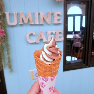 あわしまマリンパーク フードコーナー_1