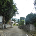 そば心 ゐ田 - 県道４２号からの下る道。狭く凸凹ですから、反対側から上りのルートが良い、でも狭い。