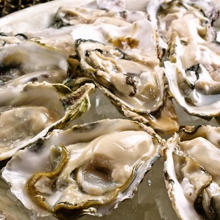 persimmon! oyster! Oyster! Let's eat all the large domestic Oyster!