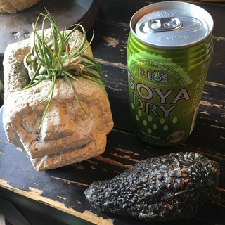 Asian chample foods goya_2