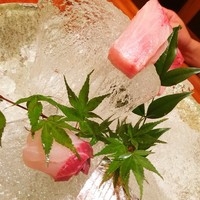 銀平 北新地店 - 