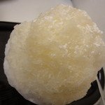 アフリカンギャンビット - 和三盆金時　1609