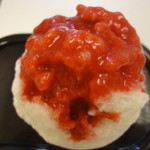 アフリカンギャンビット - いちごミルク　1609