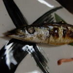 樽見 - 2016.9)今年初ものの新さんま（９８０円）