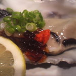 Asahichou Sutando - 生牡蠣