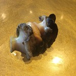 まんてん鮨 - 鮑