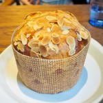 クリオロ - '16.08 ブリオッシュオレンジ